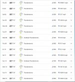 rain_forecast_07022020.JPG